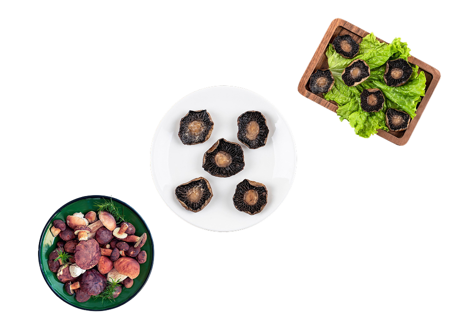 Truffes et Champignons